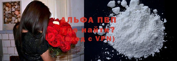 эйфоретик Бородино