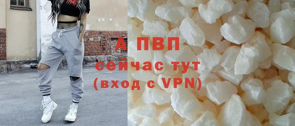 эйфоретик Бородино