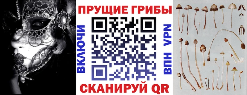 где найти наркотики  Наро-Фоминск  Псилоцибиновые грибы Magic Shrooms 